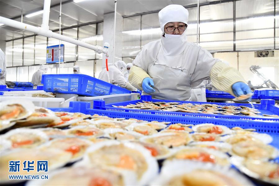 積極發(fā)展海洋食品加工產(chǎn)業(yè)，構(gòu)建全產(chǎn)業(yè)鏈協(xié)同發(fā)展新格局
